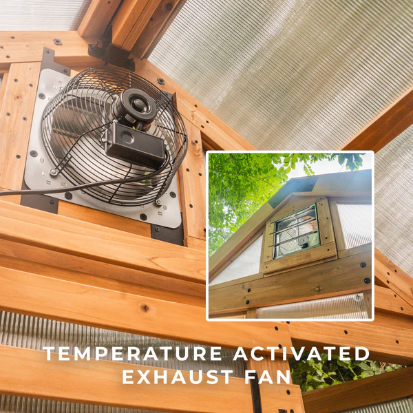 9×6 Bellerose Greenhouse